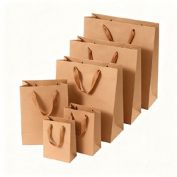 Paper Gift Bag