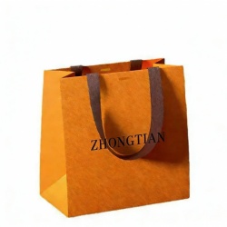 Paper Gift Bag